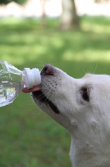 水分補給