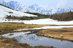 水