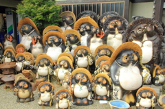 たぬき天国