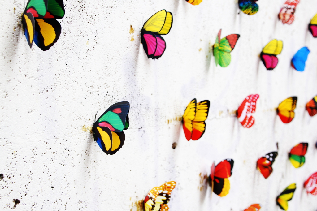 butterflyｰ2
