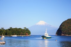 伊豆