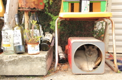 お気に入りの場所