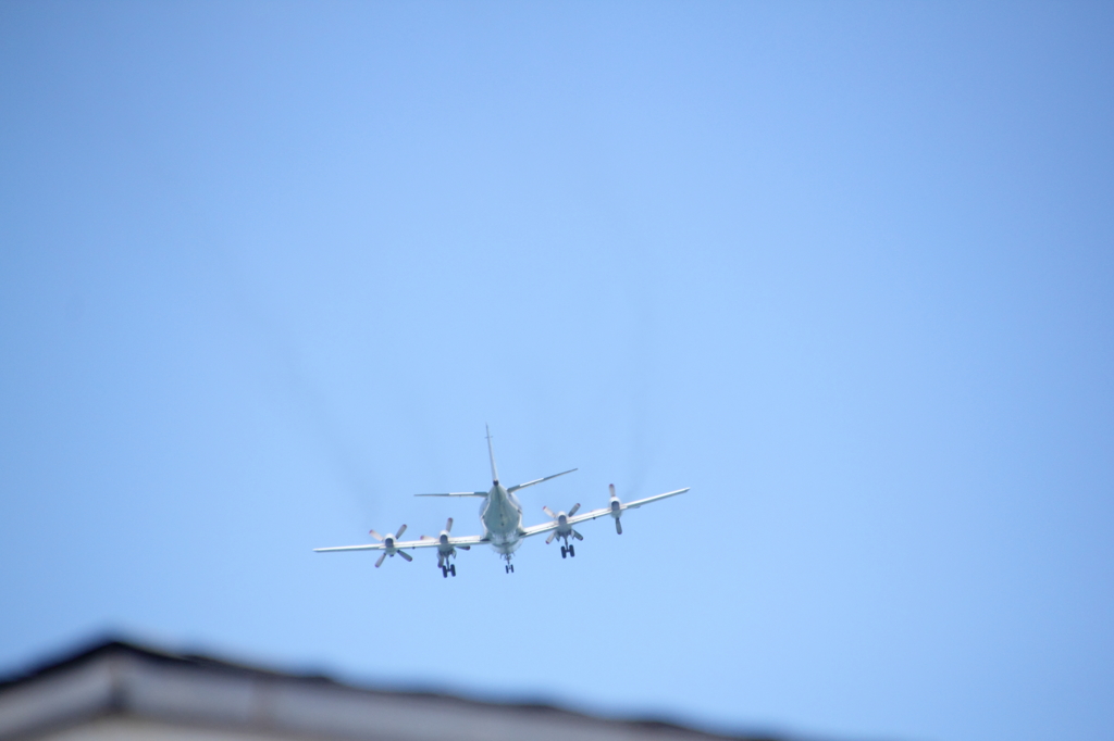 fly