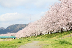 うららかなり