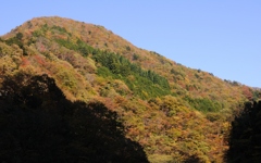 みどりの襷