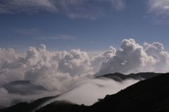 月明かりに照らされて