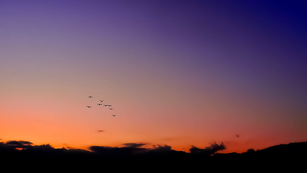 安曇野夕景 （飛翔）