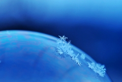 Snow crystal　-ⅲ-