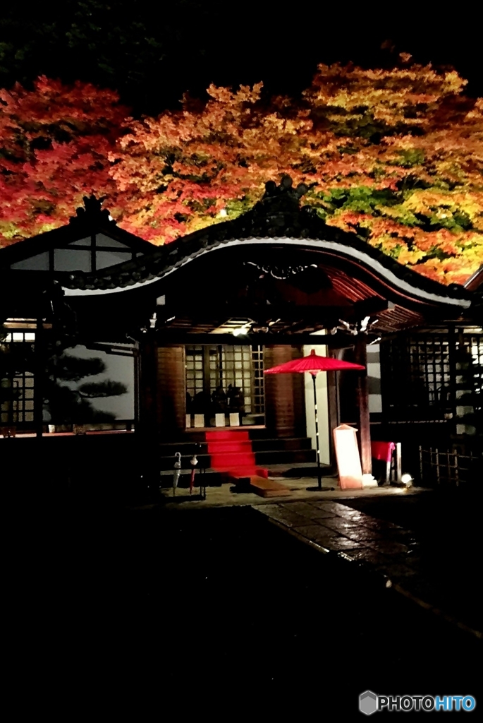 紅葉ライトアップ
