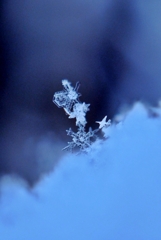 snow crystal 3