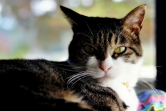 きりりッ　　（sora）