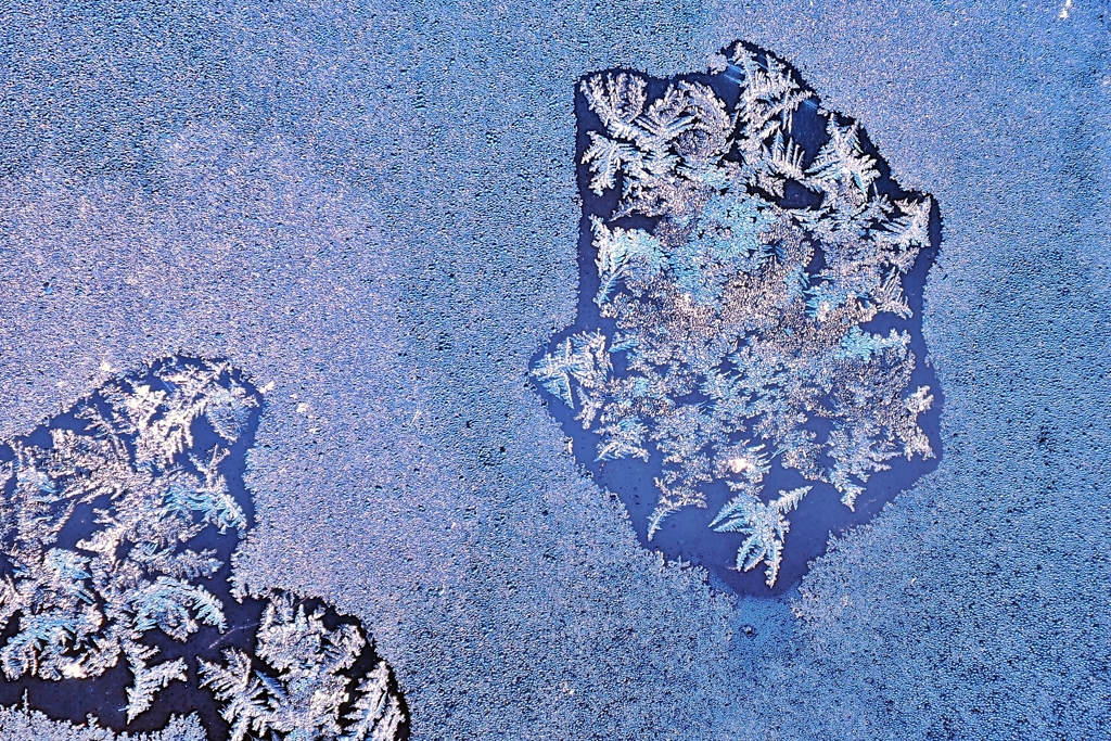 アイスフラワー -2- 