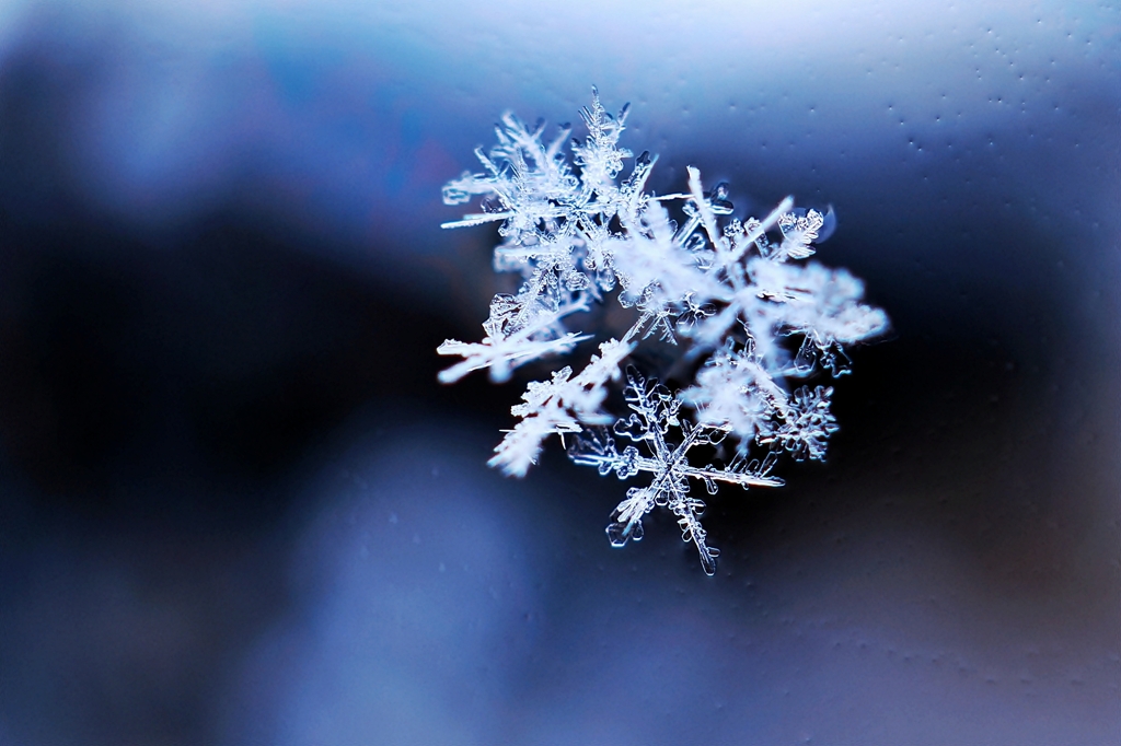 Snow crystal　-ⅱ-