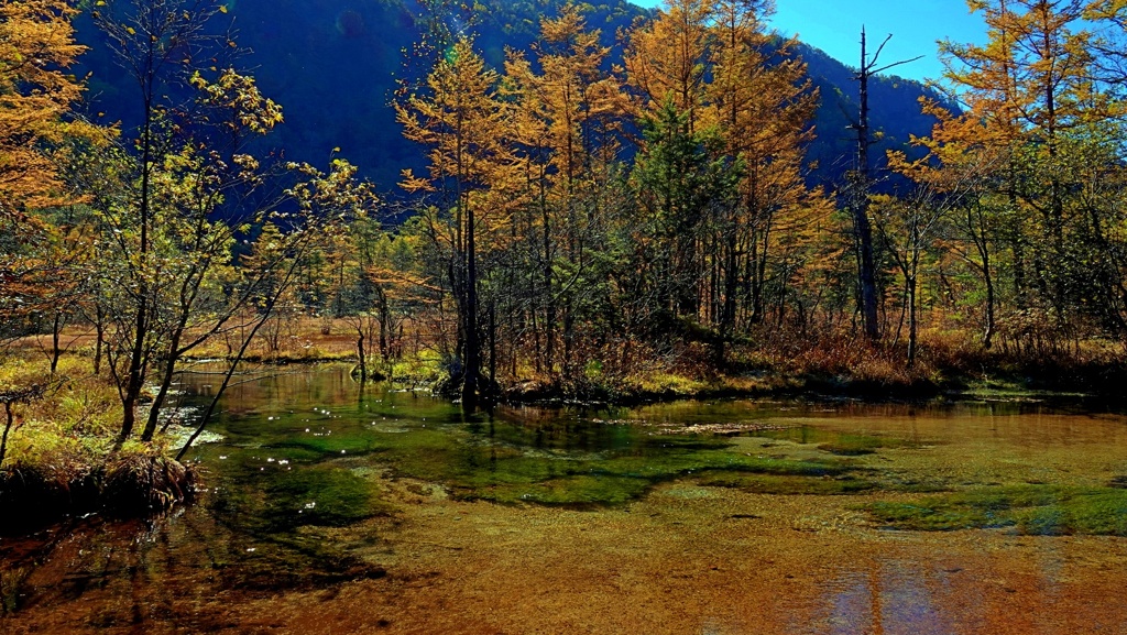 Kamikochi day trip 2020 -4-