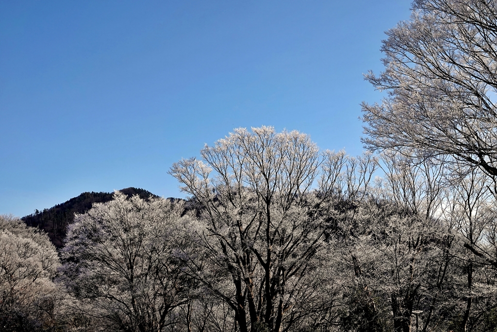 Cold morning*