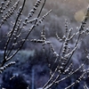 雪降る朝に
