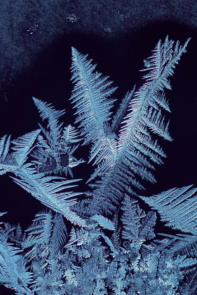 Cold Day 9