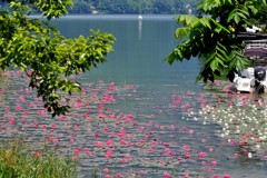 木崎湖