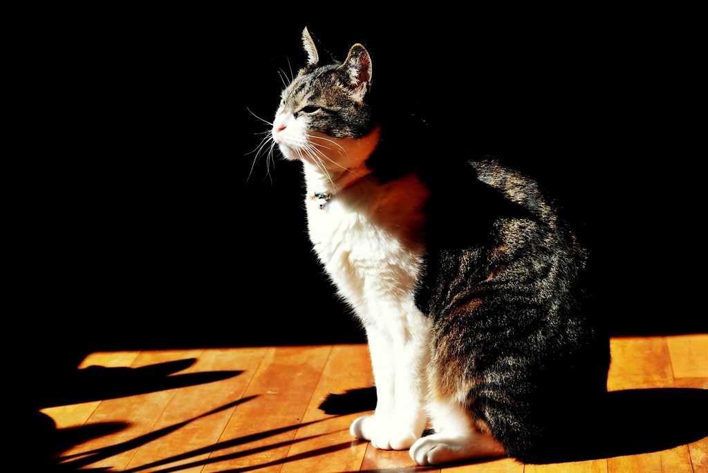 充電中（そーらーパワー）