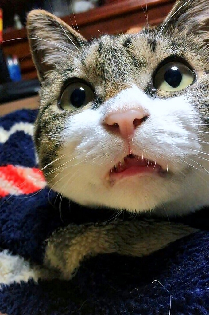 んん?!
