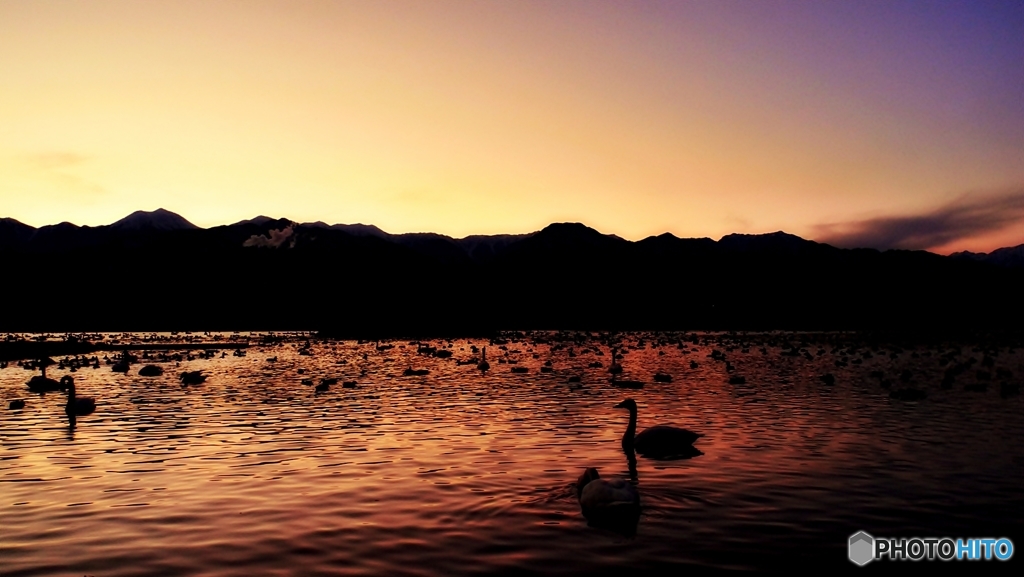 安曇野夕景 （御宝田遊水池）