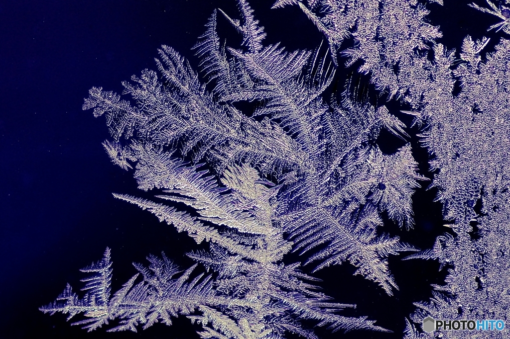 霜華