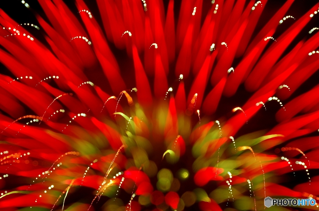 Fireworks (2015高瀬川納涼大花火大会2)