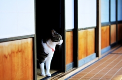 えっと...