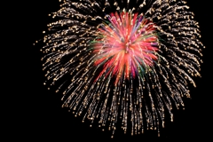 Fireworks (2025高瀬川納涼大花火大会⑤)