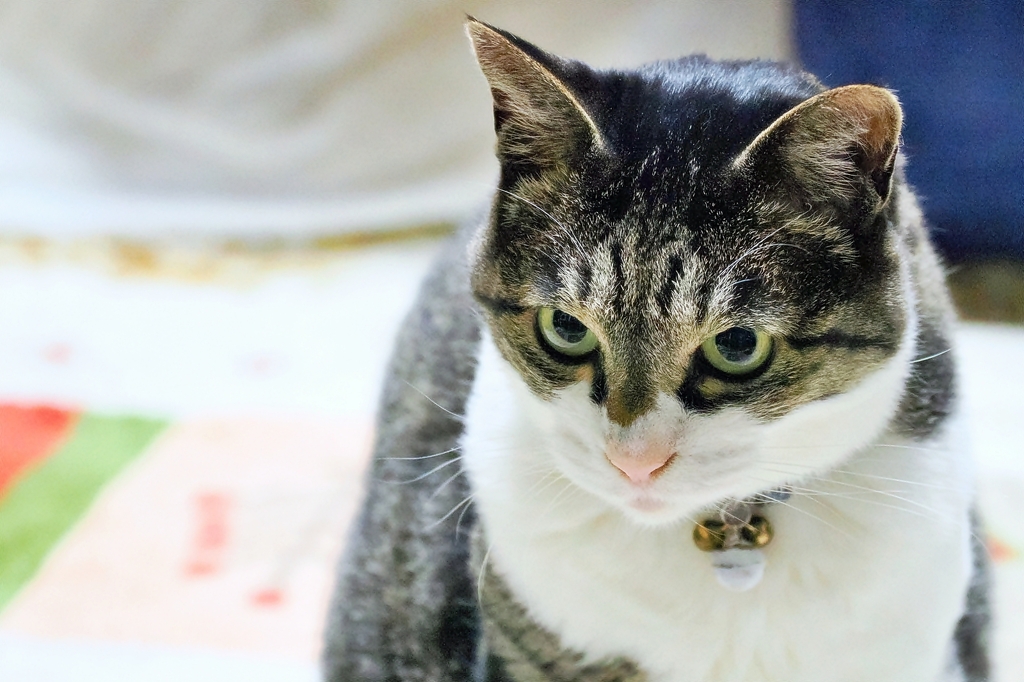 んじぃぃぃ〜 (sora)