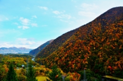 色づく山