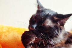 I am thinking now. I am thinking now.