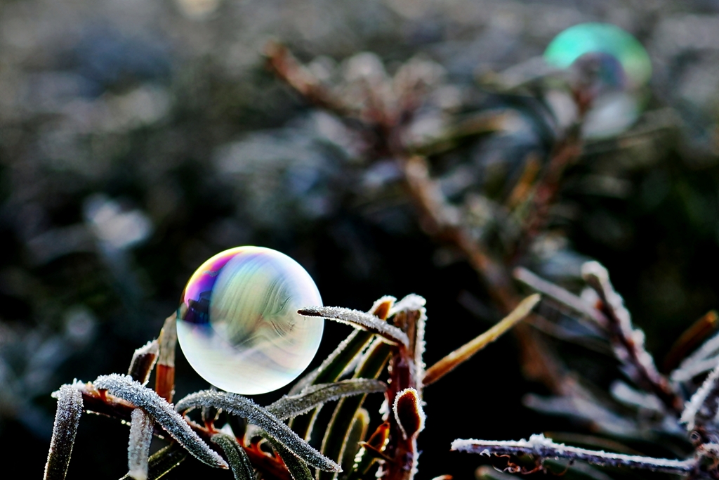 Frozen Bubbles - j -