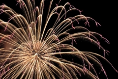 Fireworks (2025高瀬川納涼大花火大会⑨)