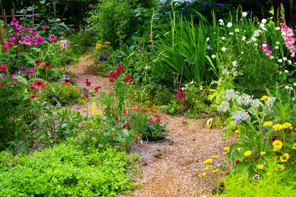 妻のflowers garden