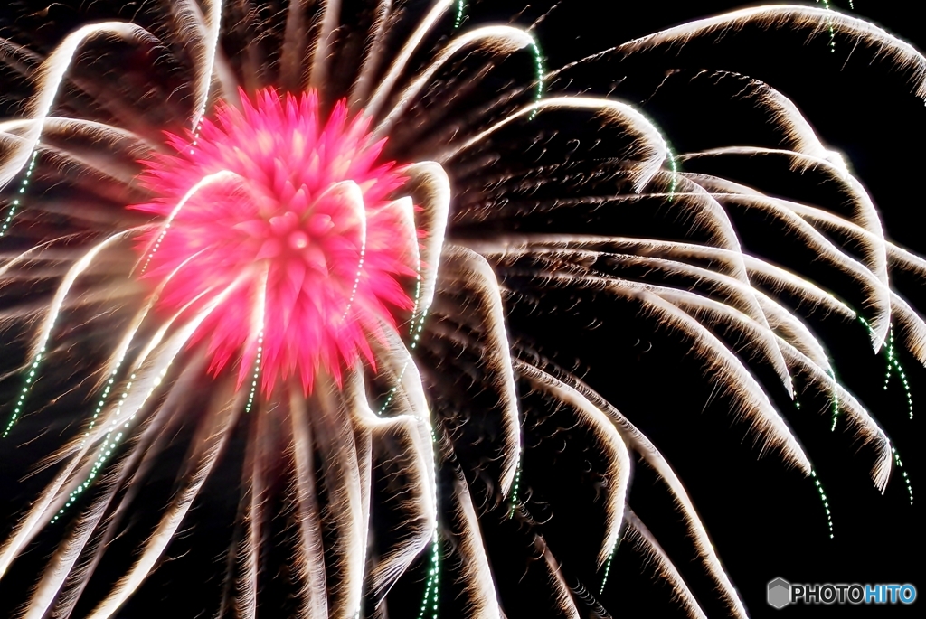 Fireworks (2016高瀬川納涼大花火大会5) 