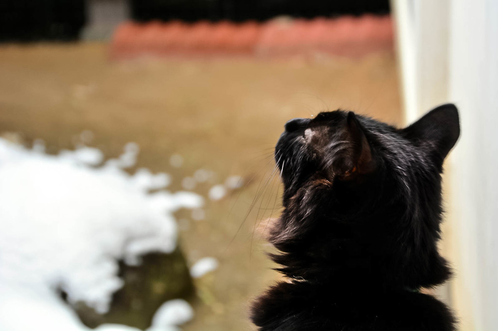 雪のにおい