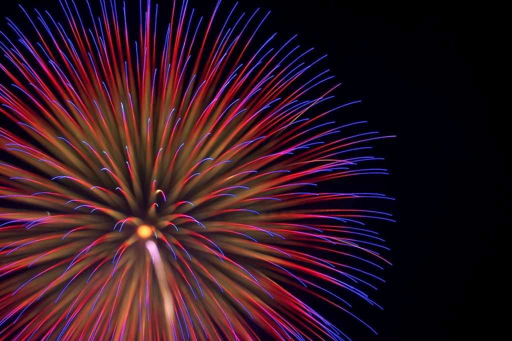 Fireworks (2019高瀬川納涼大花火大会①)