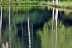 池で