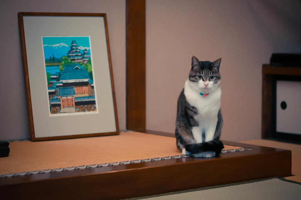 僕は、ここにいる