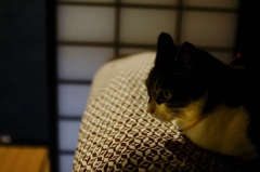 静かな時間