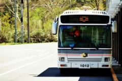 Tateyama day trip 11