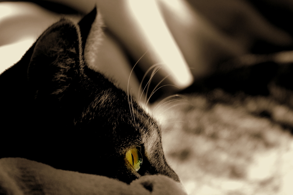 Silence　（sora）