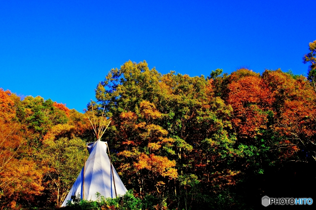 紅葉めぐり　（高照山）