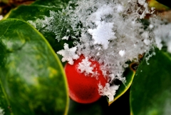 snow crystal -ⅲ-