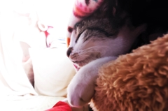 引きこもりな一日