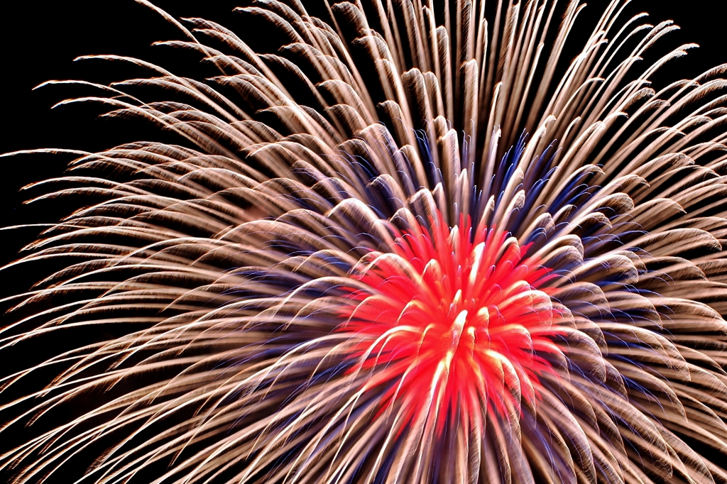 Fireworks (2025高瀬川納涼大花火大会①)