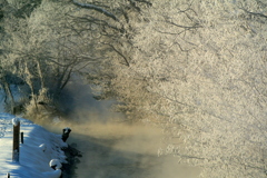 氷霧