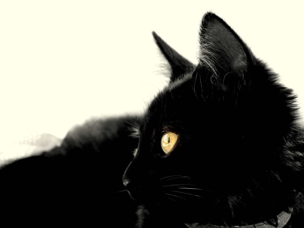 Golden Eye