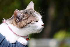 風の匂い